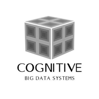 Cognitive Big Data Systems